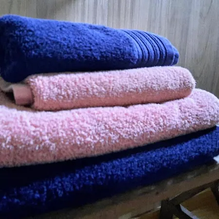 En Bois, Confort Et Modernite *